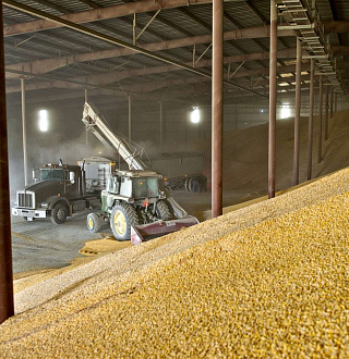 Риски при хранении зерна